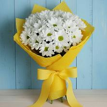 Букет цветов из:  Хризантемы в Садовое