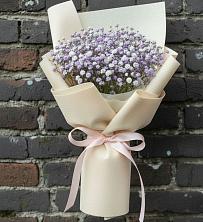 Букет цветов из:  Гипсофила в Садовое