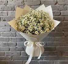 Букет цветов из:  Ромашки в Садовое