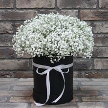 Цветочная композиция из Гипсофила в шляпной коробке в Садовое